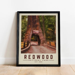 Redwood Nationalpark Poster, Redwood Minimalist Nationalpark Wandkunst | Vintage Nationalpark Poster | National Park Art Cabochon Dekor