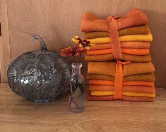 PUMPKIN PATCH Hand Dyed Wool Variety Pack – 6 Different Colors, Crafting & Textile Art Supply