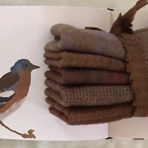 May include: A stack of brown wool gloves tied together with a brown fabric band. The gloves are various shades of brown and gray. A watercolor painting of a bird with blue, brown, and white feathers is on the left side of the image.