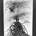 Ink Drawing Surreal Tree Landscape Tiny Trees Painted Grafics Homedecor ...