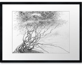 Tree Pencil drawing Art PRINT Forest realistic art Illustration Landscape Hand painted Grafics Homedecor Walldecor Original Traditional art