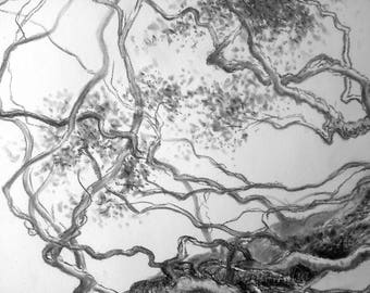 木炭画イラスト風景写実的木手描きグラフィックホーム