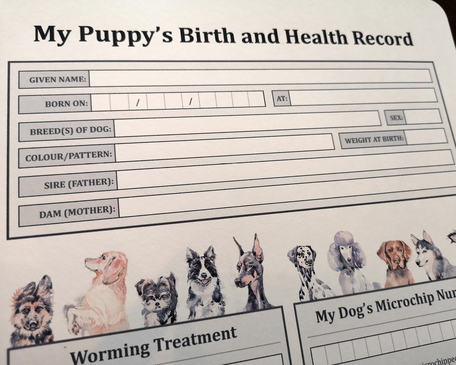 Blank A4 Puppy Birth and Health Record: Flea Worm Microchip | Etsy