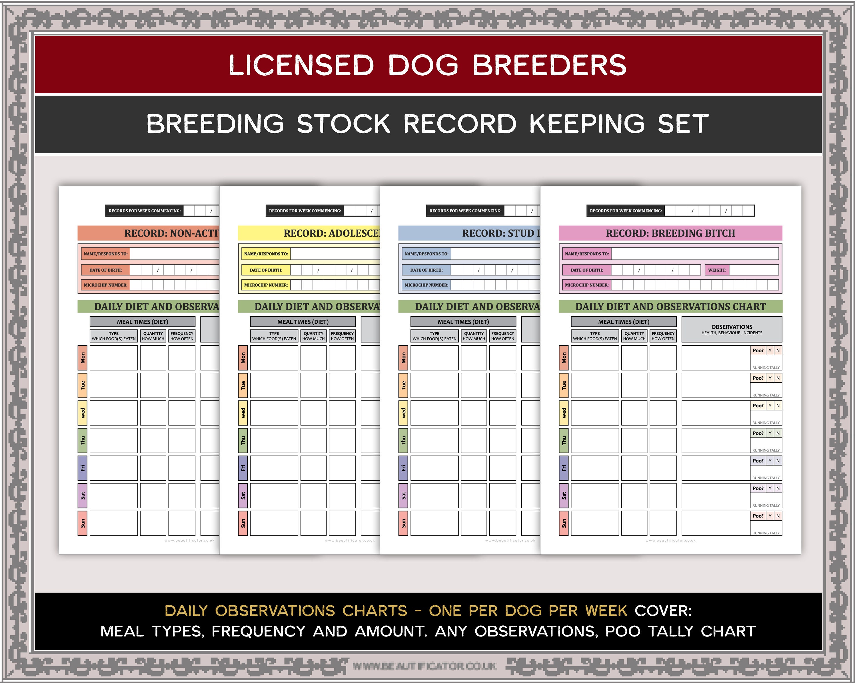 🐈 Stock record keeping. How to Keep Record of Stock. 20221021