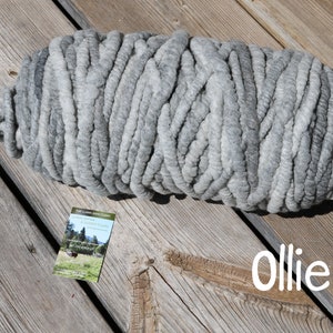 May include: A large, thick skein of chunky yarn in variegated shades of gray, ranging from light silver to dark charcoal. A small rectangular business card with a landscape image and the text The Llama Sanctuary is present, with the word Ollie in white.