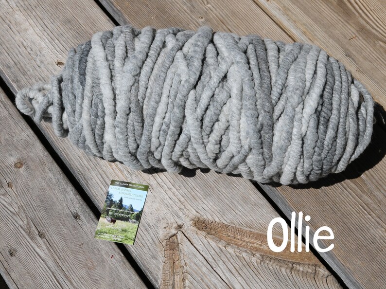 May include: A large, thick skein of chunky yarn in variegated shades of gray, ranging from light silver to dark charcoal. A small rectangular business card with a landscape image and the text The Llama Sanctuary is present, with the word Ollie in white.