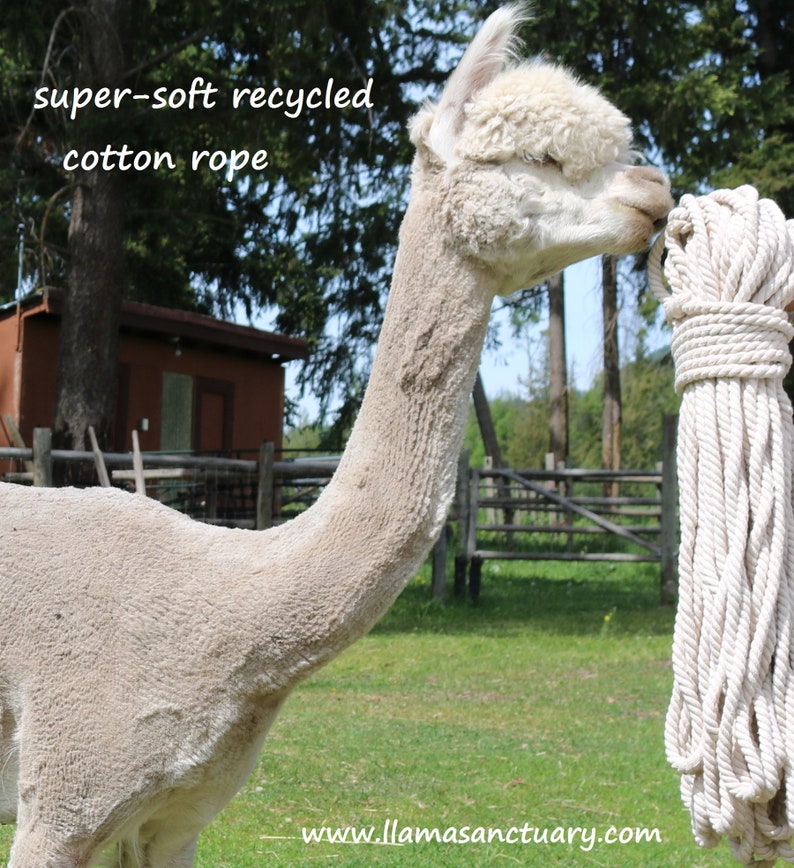 natural super-soft twisted rope for all crafts 5m Recycled Cotton Rope Yarn 10mm-12mm