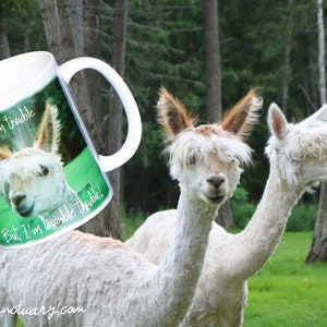 Llama Love Mugs, customized/personalized, gift, support animal rescue, alpaca love, dishwasher safe