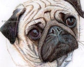 pug template alter pug template alter
