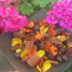 May include: A selection of dried potpourri, including orange, yellow, and brown botanicals, with cinnamon sticks and dark berries. Bright pink flowers are in the background. Aromatic and decorative.
