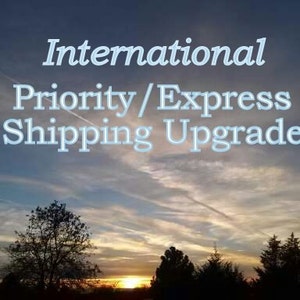 HOW FAST IS INTERNATIONAL PRIORITY EXPRESS SHIPPING visual data 7