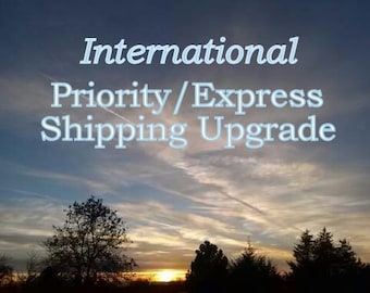 International Priority Express Shipping Upgrade - 6 -10 Day Priority Mail, 3 - 5 Day Express Mail, USPS Expedited Shipping