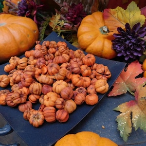 Putka Pods Two Cups, Unscented Prim Fixins, Potpourri Christmas Autumn Holiday, Primitive Mini Pumpkins image 1