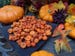 Putka Pods Two Cups, Prim Fixins, Potpourri Christmas Autumn Holiday, Primitive Mini Pumpkins 