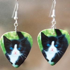May include: A pair of earrings featuring a black and white cat with bright blue eyes. The cat image is printed on a green background, shaped like a guitar pick. The earrings have silver-colored hooks.