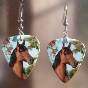 Puede incluir: Pendientes con dise&ntilde;o de cabeza de caballo. Los pendientes tienen forma de p&uacute;as de guitarra y tienen ganchos plateados. El caballo tiene un pelaje marr&oacute;n y una melena negra, sobre un fondo azul claro y verde.