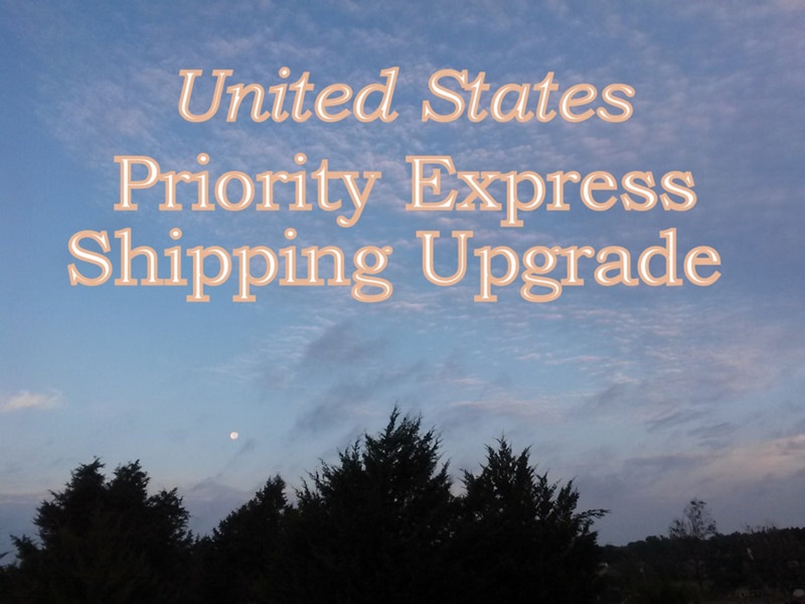 Priority or Express Shipping Upgrade - United States Only - Estimated 2 ...