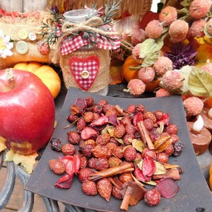Peut inclure: Nature morte sur le thème de l'automne. Une grosse pomme rouge, un bocal décoré d'un cœur à carreaux et une assiette carrée remplie de baies et d'épices séchées. Citrouilles et feuillage décoratif.