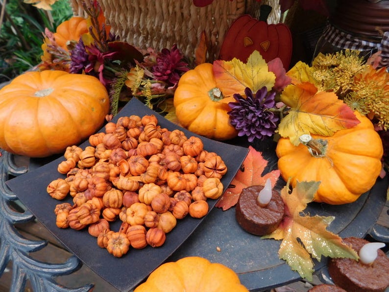 Putka Pods Two Cups, Unscented Prim Fixins, Potpourri Christmas Autumn Holiday, Primitive Mini Pumpkins image 4