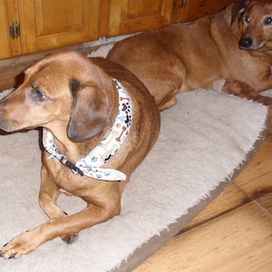 Dog Cooling Collar - Choice Size, Custom Color Cool Wrap - Neck Cooler Bandana Heat Relief - Reusable Washable