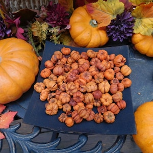 Putka Pods Two Cups, Unscented Prim Fixins, Potpourri Christmas Autumn Holiday, Primitive Mini Pumpkins image 3