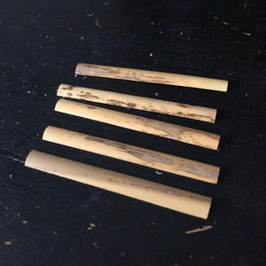 May include: Five light brown, cylindrical reeds with dark brown markings are arranged on a dark surface. The reeds have a slightly curved end. The reeds appear to be made of wood.