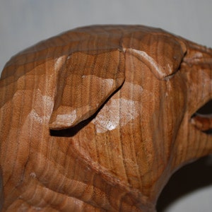 Mountain Lion Bust image 5
