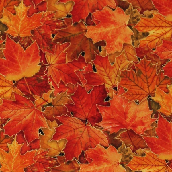 Cotton Golden Orange Red Leaves Fall Autumn Seasons Trees Harvest Time Cotton Fabric Print by the Yard (M613MULTI) D512.42