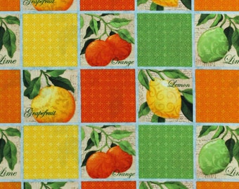 Cotton Oranges Lemons Limes Grapefruits Fruit Squares Citrus Grove Cotton Fabric Print by the Yard (25486-MUL1) D473.25