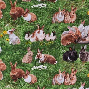 Cotton Bunnies Bunny Rabbits Dandelions Farm Animals Green Cotton Fabric Print by the Yard (650GREEN) D368.56