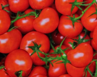Könnte beinhalten: Ein Nahaufnahmebild eines großen Haufens roter, reifer Tomaten. Die Tomaten sind in einem zufälligen Muster angeordnet und einige haben grüne Stiele.