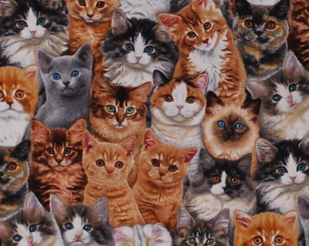 Cotton Cats Allover Cat Breeds Kittens Kitties Animals Feline Adorable Pets Cotton Fabric Print by the Yard (3802MULTI) D651.11