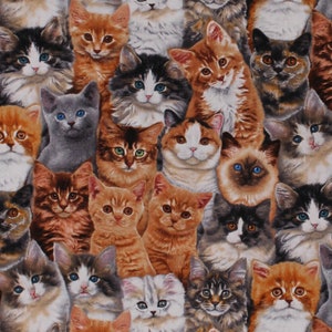 Cotton Cats Allover Cat Breeds Kittens Kitties Animals Feline Adorable Pets Cotton Fabric Print by the Yard (3802MULTI) D651.11