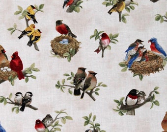 Cotton Beautiful Birds Songbirds Bird Nesting Bird-watching Nests Cream Cotton Fabric Print by the Yard (4310CREAM) D375.66