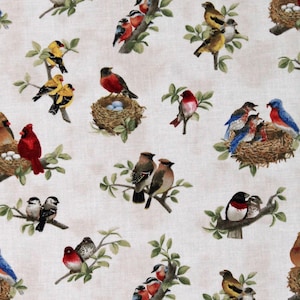 Cotton Beautiful Birds Songbirds Bird Nesting Bird-watching Nests Cream Cotton Fabric Print by the Yard (4310CREAM) D375.66