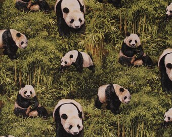 Cotton Panda Bear Pandas Animals Bamboo Jungle Nature Wildlife Born Free Cotton Fabric Print by the Yard (112-31951) by Fabri-Quilt