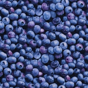 Cotton Blueberries Berry Good Fruit Packed Blueberry Allover Cotton Fabric Print by the Yard (509 Blue) D767.34