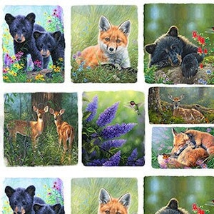 May include: A collage of 12 images featuring various animals in a woodland setting. The images include a black bear and cub, a fox, a deer, a rabbit, and a bird. The images are arranged in a grid pattern and are surrounded by a white border.