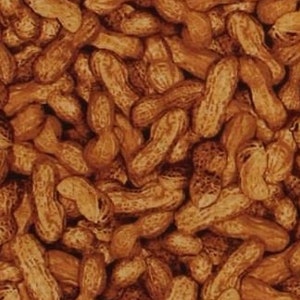 Cotton Peanuts Roasted Shelled Peanuts Nuts Shells Allover Snacks Food Kitchen Culinary Tan Cravings Cotton Fabric Print by the Yard D580.36
