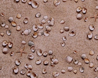 Sand Seashells Starfish Beach Summer Landscape Cotton Fabric Print BTY D578.39