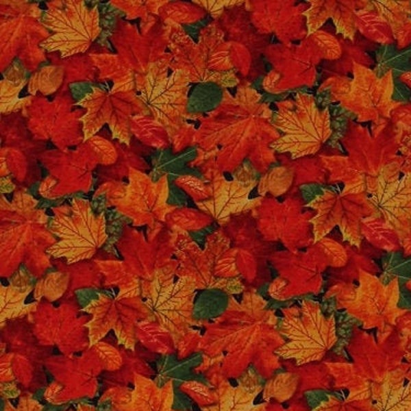 Cotton Autumn Leaves Maple Leaf Fall Autumnal Nature Landscape Medley Cotton Fabric Print by the Yard (478MULTI) D512.16