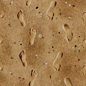 Cotton Landscape Medley Sand Footprints Beach Mini Seashells Cotton Fabric Print by the Yard (418-sand) D774.28