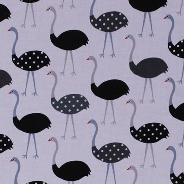 Cotton Ostrich Ostriches Birds Animals African Africa Fowl Safari Wildlife Nature Urban Zoologie Cotton Fabric Print by the Yard D570.81
