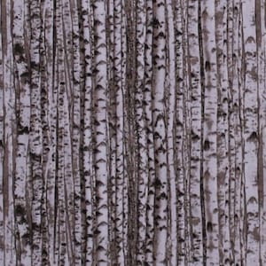 Cotton Landscape Medley Birch Trees Aspen Woods Forest Gray Cotton Fabric Print by the Yard (371-gray) D779.47
