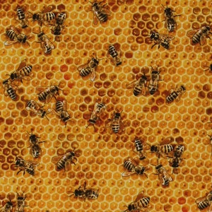 Cotton Bees and Honey Insects Honeycomb Cotton Fabric Print by the Yard (510 Honey) D758.07