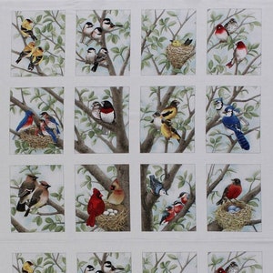 Beautiful Birds - 23.5" X 44" Panel Bird Nesting Bird-watching Nests Cotton Fabric Panel (4309-CREAM-PANEL) D505.30