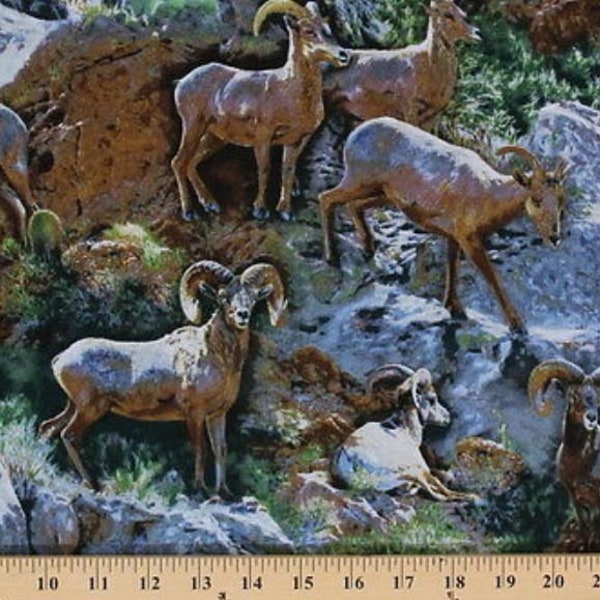 Cotton Wild Wings Rocky Grandeur Rams Horns Animals Scenic Mountan Cotton Fabric Print by the Yard (53279-A620715) D467.05