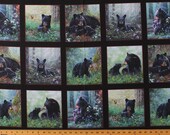 24 quot X 44 quot Panel Black Bears Cubs Cute Animals Wildlife Scenic Blocks Squares Tender Moments Black Cotton Fabric Panel (9606BLACK) D478.33