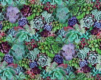 Cotton Succulents Desert Plants Floral Landscape Nature One of a Kind Green Purple Pink Cotton Fabric Print by the Yard (50908-X)