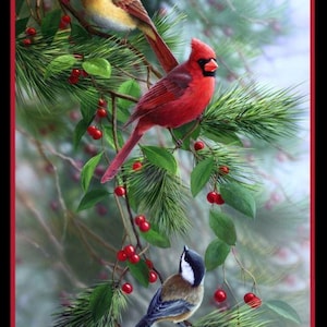 24" X 44" Panel Birds and Berries Christmas Winter Holiday Seasonal Holly Ivy Pines Needles Cones Trees Black Cotton Fabric Panel (D415.26)